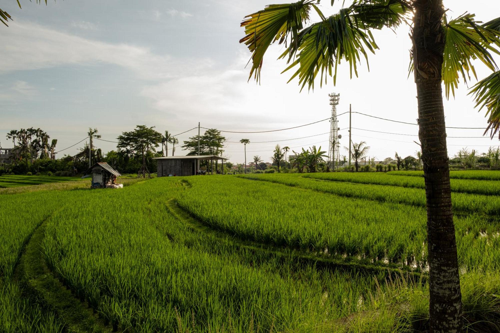 Padi Villa Canggu Eksteriør bilde